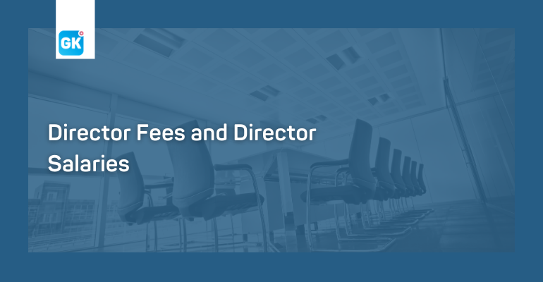 Is there any Differences between Director Fees and Director Salaries?